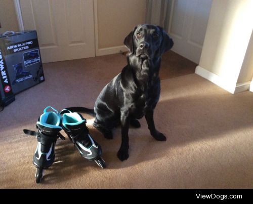 Bella posing by my birthday skates!!