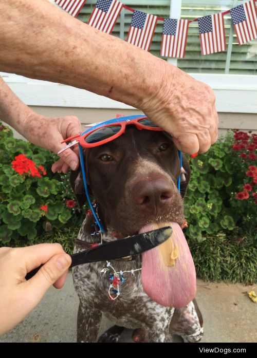 Meal-time Monday. Here’s Bocephus enjoying some peanut…