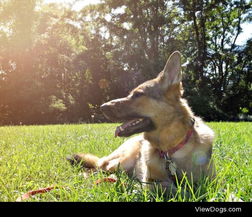 When not lounging in the sun, Uschi is generally found at the…