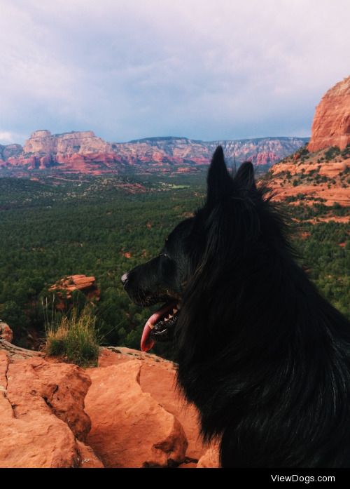 Exploring Devils bridge (Sedona) with Zia!