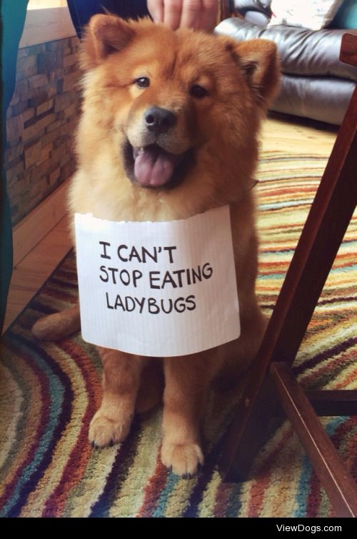 Don’t bug me, lady.

I took my puppy up to a secluded…