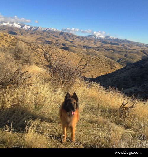 Jenny on a hike last December #walkieswednesday