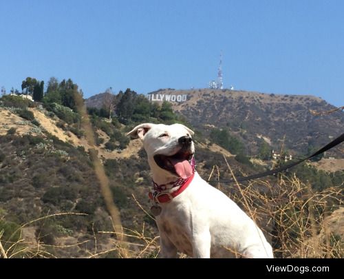 Chula in her new backyard