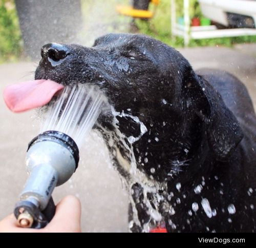 Thirsty Thursday: loving a good drink of water after a good game…