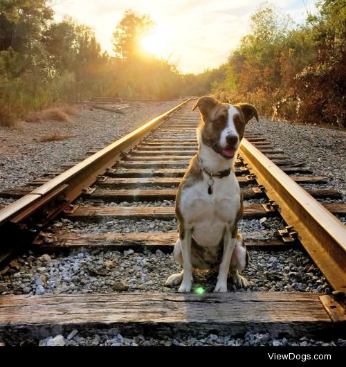 Sunray Sunday! Exploring with my Best Buddy June Bug :)