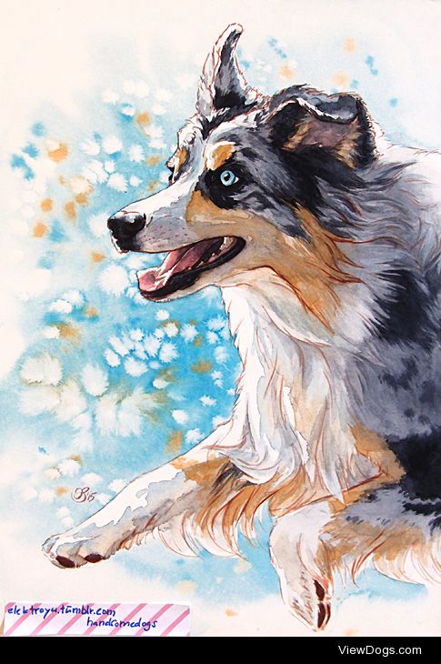 Handsomedogs’ Art Contest Winner!It was almost a tie, but…