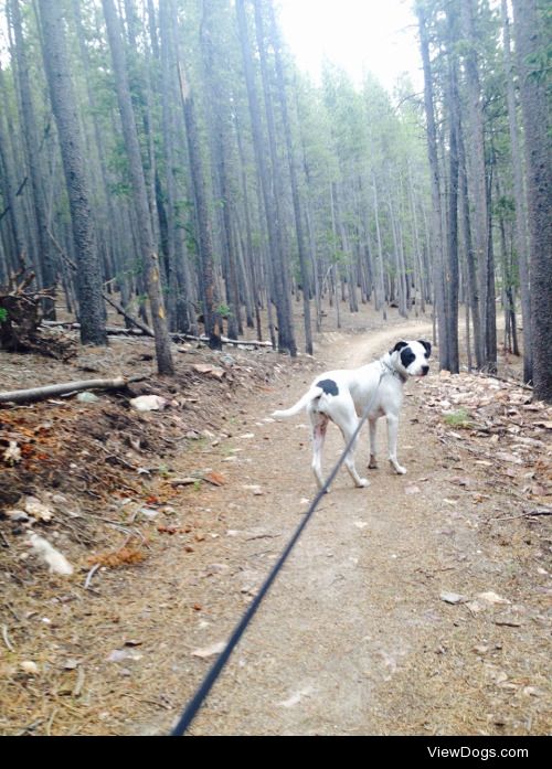 Kiko Hiking on a rainy day. :)