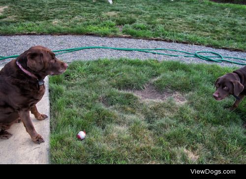 jenni10001:

Fun with tennis balls on Fun Fun Friday for…