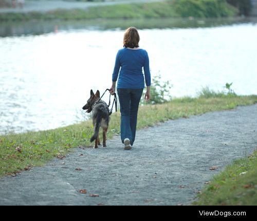 ceotty:

Walking along the lake at Washington Park with my (now…