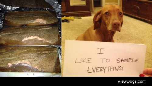 Sampler Platter

After her Daddy smoked three beautiful salmons…