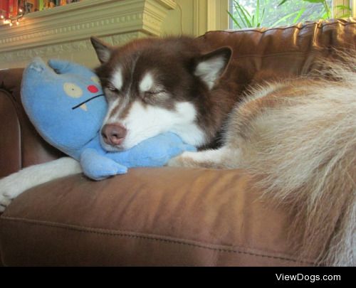 maxandmaeby:

Max & his good buddy, Ugly Doll for Toy-Filled…