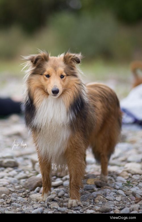hadissima:

Charlie