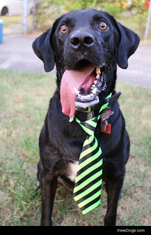 Milo makes the goofiest ‘catch’ faces.