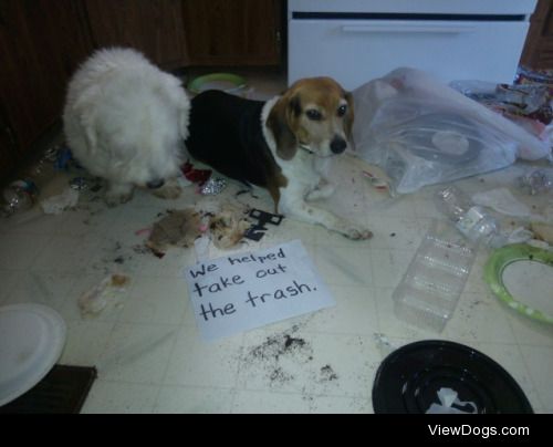 We Helped Take Out The Trash

I pulled the trash out of the can…