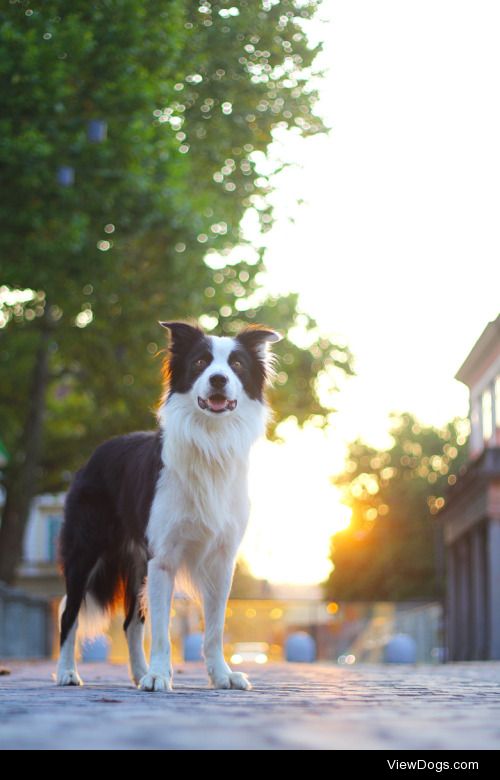 Posing in Ljubljana | Ingrid Pokorn