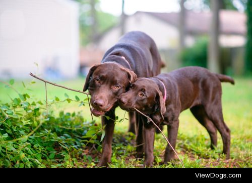 Friendship | Michael Mascorro