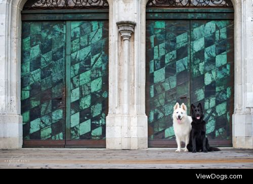 Ying & Yang | Kerstin Benz