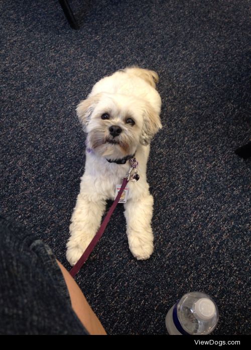 Sophie’s first day of school!