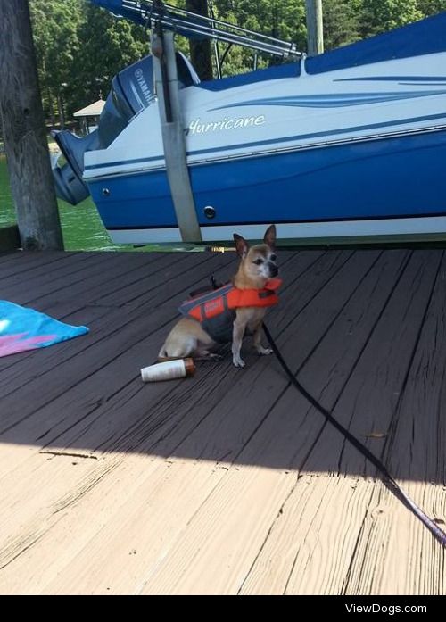 Gadget at the lake, 2015. 