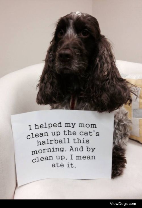 Mommy’s Little Helper

Before I could get a paper towel,…