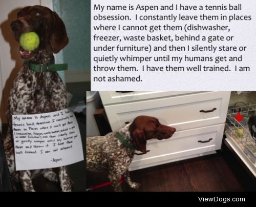Love ‘em and leave ’em

Aspen is a 3 year old German…