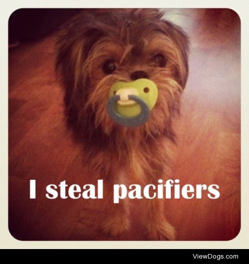 But i’m supposed to be the baby!

I steal pacifiers.