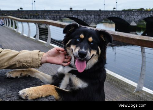 By the bridge | Dinu Besleu