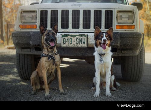 tempurafriedhappiness:

muddy jeep aesthetic