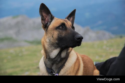 Raul Biermann | Paying attention.