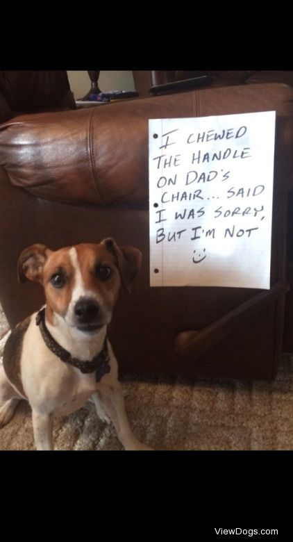 You can’t handle chair

I chewed the handle on dad’s…
