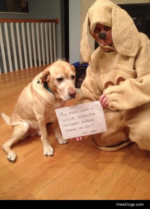 Happy Howl-o-weenie!

My mom wore a species insensitive…