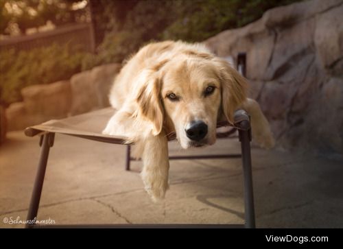 Jasmin Leonard | Chillin’ in the garden