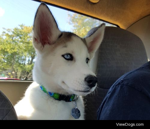 She has to sit here on car rides