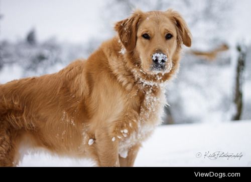 Kate | Snow Fun