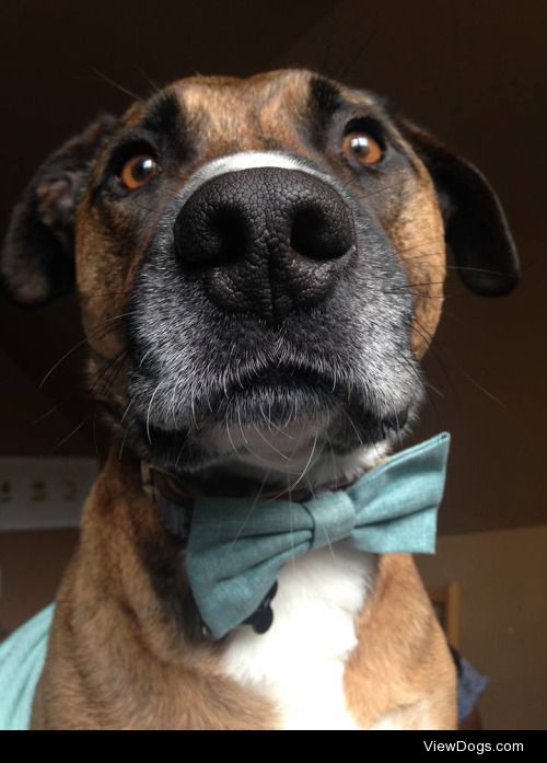 Kingsley is very dapper.