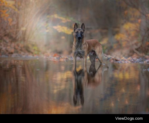 Tanja Brandt | Autumn bath