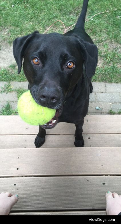 The face Reptar gives me when he wants to play. 