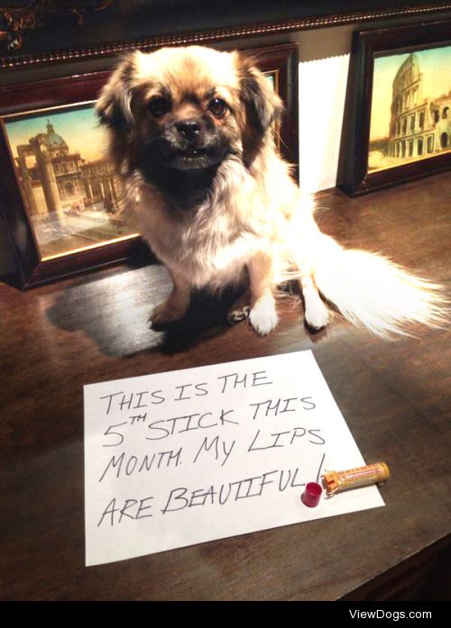 But my lips hurt real bad!

We don’t know how she gets…