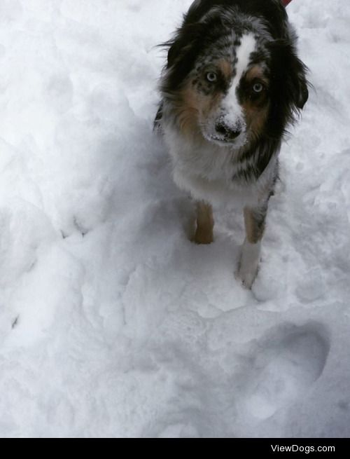 Captain’s first time to the snow!