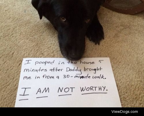 The poop of shame

I pooped in the house 5 minutes after Daddy…