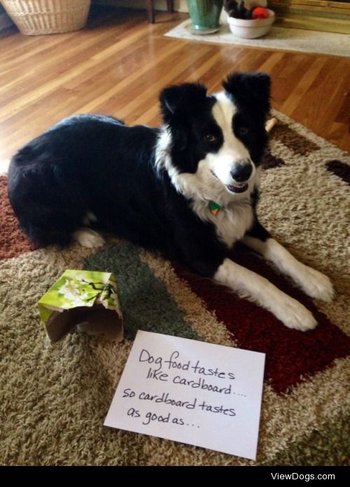 Dog food tastes like cardboard anyway

When feeling bored,…