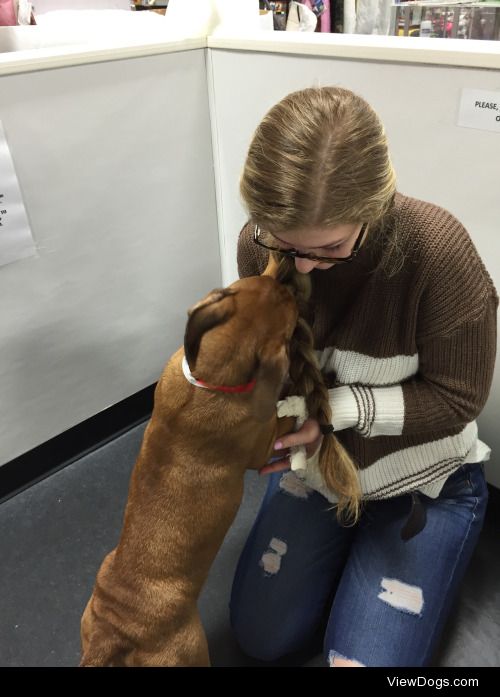 Played with this teething puppy at the shelter, apparently his…