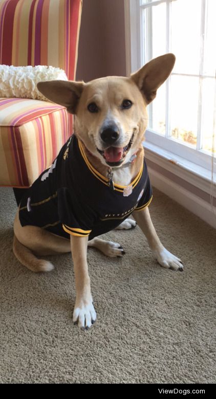 Penny is ready for game day!