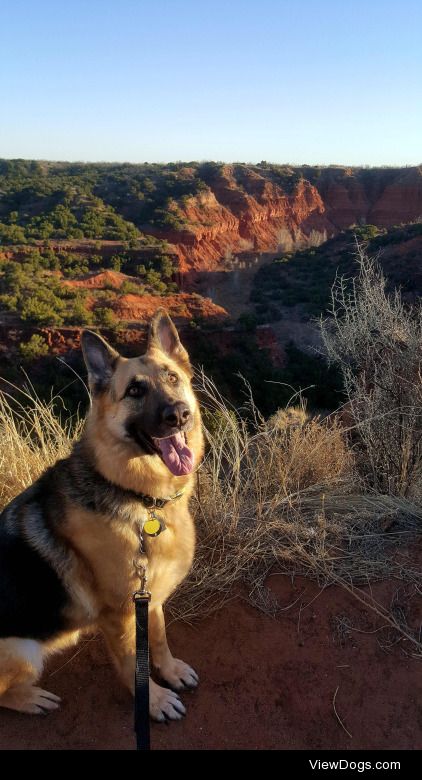 This is Charlie.  I took this while hiking at Caprock Canyons…
