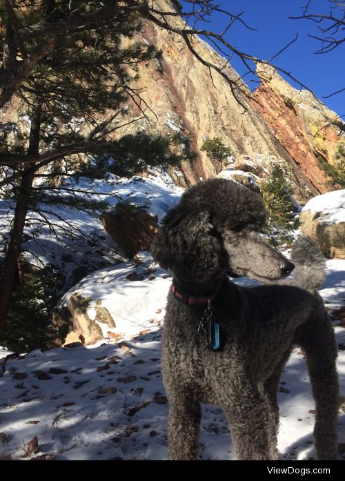 This is Nahla. She likes hiking and bacon. -@ursus-vesper 