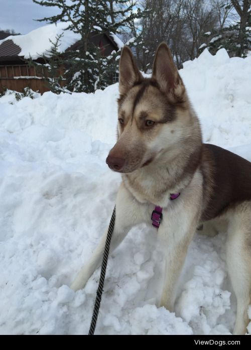 Enjoying the snow!