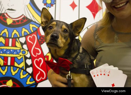 JASE looking suave at our annual casino night fundraiser! He is…