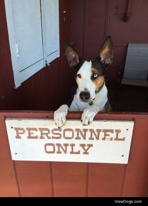 hunterisadog:

Next in line please.

Hunter is the definition of…