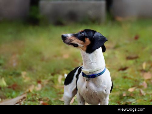 Carlos Quintero | "I Love the Outdoors"