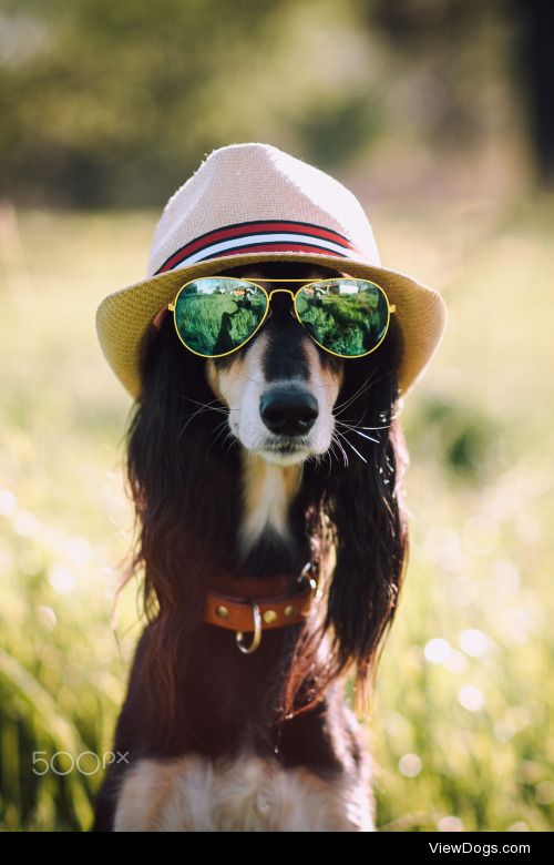 Hannah Hix | Stylin’